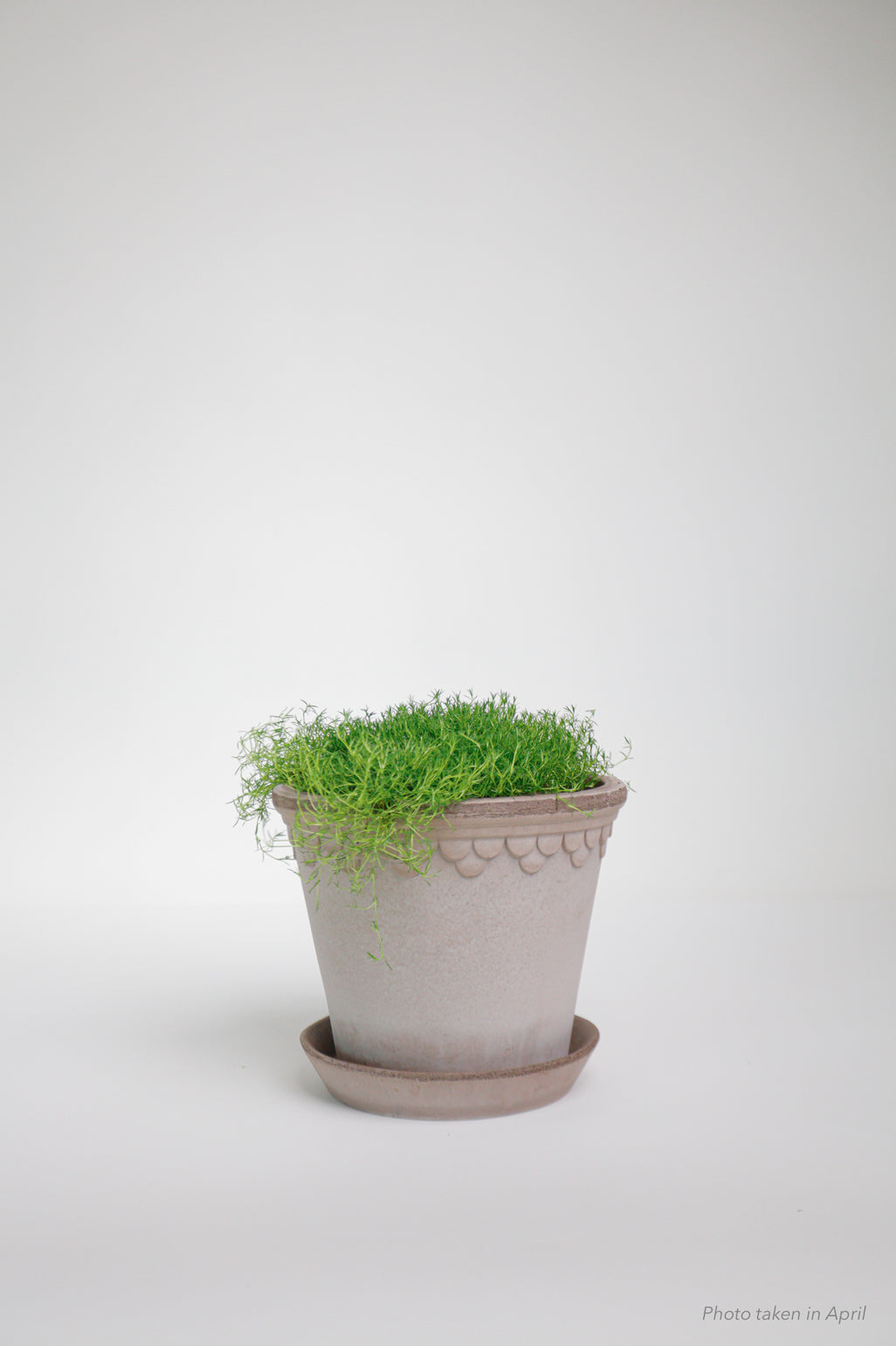 products/SotoProductShootLowQ-1993_9f0611e6-ca97-4d51-acdf-34effe06ce7b.jpg